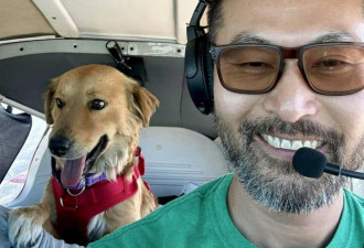 载狗狗逃安乐死 美机师堕机亡 2犬奇迹生还