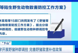 野猪晚高峰闯入地铁隧道？官方回应来了！