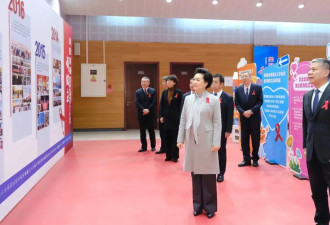 彭丽媛出席2024年“世界艾滋病日”主题宣传活动