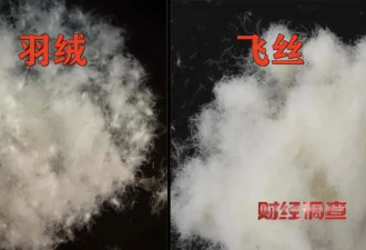 热帖：“假”羽绒服，害了多少人？....