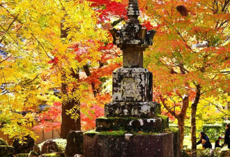 日本滋贺县神崎郡秋冬之际 民众永源寺欣赏红叶