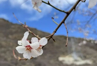 借着吴柳芳"擦边"视频，聊几个被恶意淹没的常识