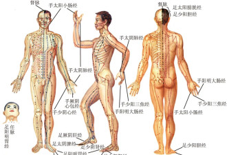 “朝鲜科学家经过多年研究，发现人体经络实质”