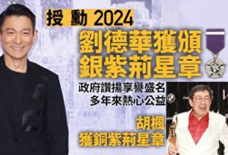 刘德华，香港特首候选人？（附简历）