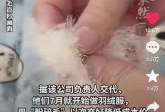 央视曝这个骗局，涉及儿童，比卫生巾塌房还恶心