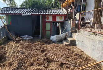 黑熊闯入民宅 扑倒女主人 丈夫狂砍…现场曝光