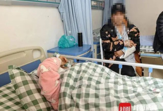 黑熊入户 大爷为救老伴 抄起斧头搏斗半小时反杀黑熊
