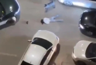 两只大狗凌晨当街撕咬女子，警方：系烈性犬...