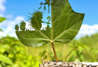 1把刀雕出大千世界！“叶雕”神人红遍全网