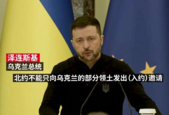 两大元素必须齐备 泽连斯基谈加入北约