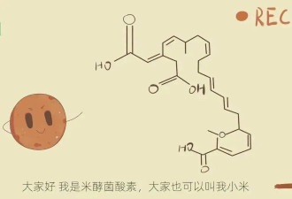 爱嗦粉的朋友们注意了 当心米酵菌酸中毒