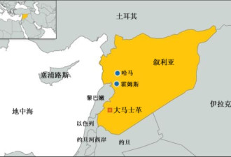 美军在叙利亚进行“自卫”打击