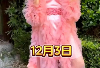 魔障了，红唇黑丝小脏辫，向佐是在靠奇装异服吸引关注吗？