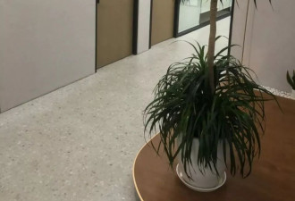 90后独生子女，把抑郁症父母送去精神科