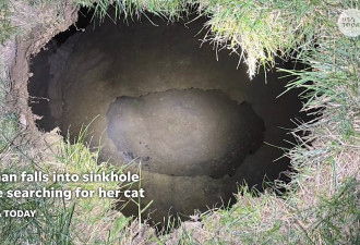 天坑吞人！宾州奶奶为找猫咪疑掉进9米深大洞失踪