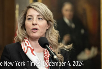 《纽时》专稿：加拿大美女外长是取代杜鲁多的热门人选