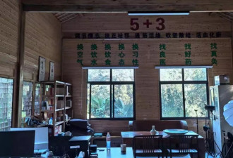 药王谷抗癌中心，开诊一个月15名患者死亡