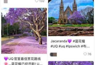 南半球的“广州” 一到春天就美到犯规