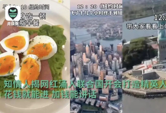 网红涌向联合国“开会”？背后真相曝光！