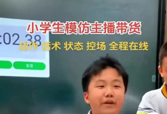小学生"人均博主", 但家长对于这件事真的不能大意