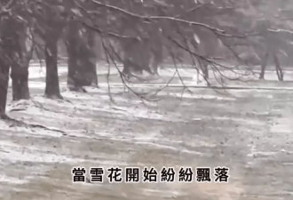 琼瑶用最琼瑶的方式结束了她的时代