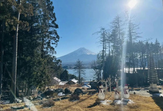 中资酒店老板嫌看不到富士山 砍邻居树+下毒…已逃亡