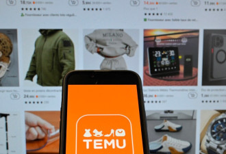 商业注册未完成 越南政府暂停中国电商Temu的运营