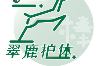美国大规模拒签!招生官:中国家庭没搞懂美本申请