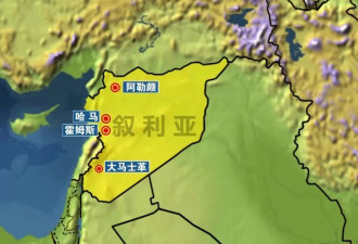 叙反对派武装攻入哈马市，大马士革命悬一线