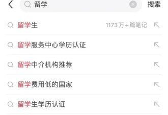 迷失在小红书的留学生 过着撕裂的人生