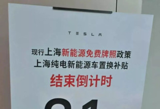 真的有赢家吗?关于中国汽车价格战的六个真相