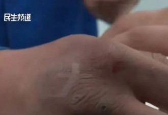 河南17岁中专生被“疯抢”事件，不要搞错了逻辑