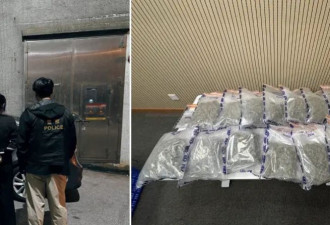 香港一大厦内藏匿大麻培植场,56岁内地女子被拘