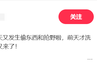 华人目击！万锦Markville商场又出事！被抓的4名劫匪正在保释期