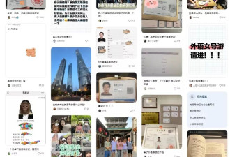 日赚800元，中国大学生抢着给老外做导游