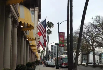 要不要送娃出国留学，有些话我一定要说出来…