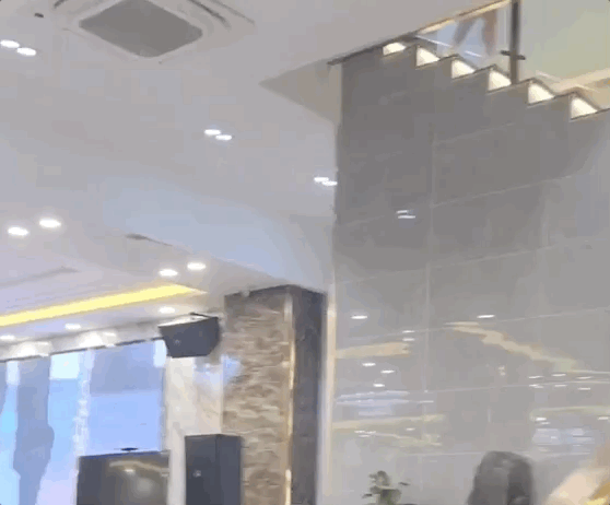 在广东吃早茶看摔跤，才懂什么是顶级享受
