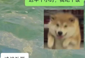 年轻人花钱让人监督自己，有人因此月入四万