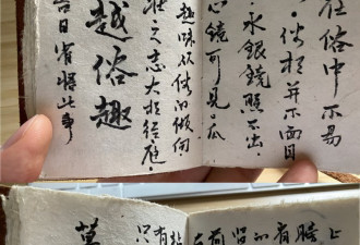 薄瓜瓜再高调 晒薄谷开来毛笔字家书变相喊冤
