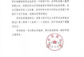 华中农大通报学生虐猫：用药片兑水投喂致猫死亡