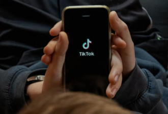 反击！TikTok执行长周受资谈下一步