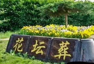 琼瑶花葬开放粉丝悼念,63岁儿子首次违背母亲遗愿