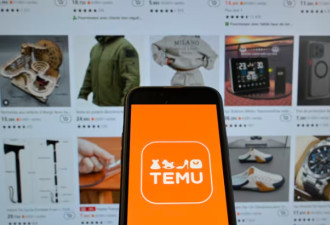 又一国加入围剿：Temu在越南的业务被勒令暂停