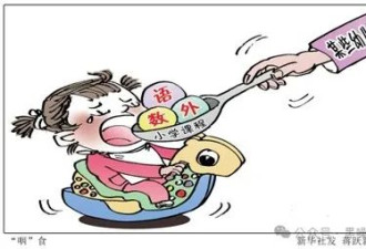 中国教育，正在批量制造废物