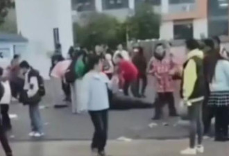 中国蓄意开车冲撞频发，路障护栏订单暴增