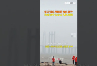 泉州烟花秀无人机下雨式坠落 多位明星现场目睹