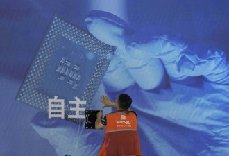 中国半导体自给自足？“纯碎胡说八道”