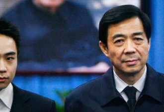 薄瓜瓜开启了一个先例