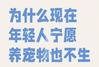 没让狗吃好，是当代新手父母最大焦虑