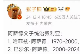 就因为叙利亚，金灿荣沈逸都被打脸了
